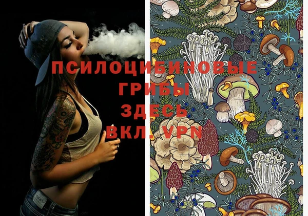 ECSTASY Костерёво