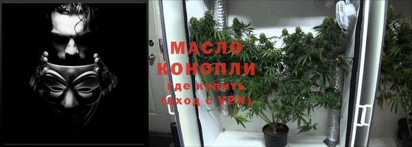 ECSTASY Костерёво