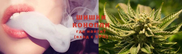 хмурый Корсаков