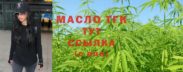хмурый Корсаков