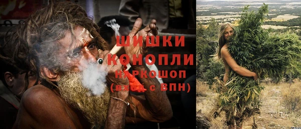 хмурый Корсаков