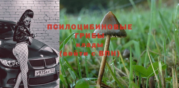 хмурый Корсаков