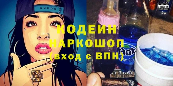 хмурый Корсаков
