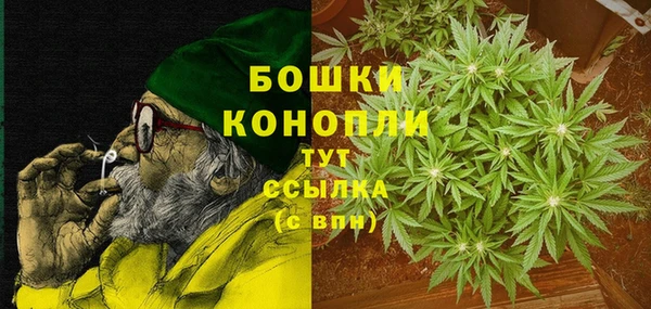 хмурый Корсаков