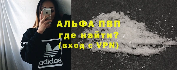 хмурый Корсаков