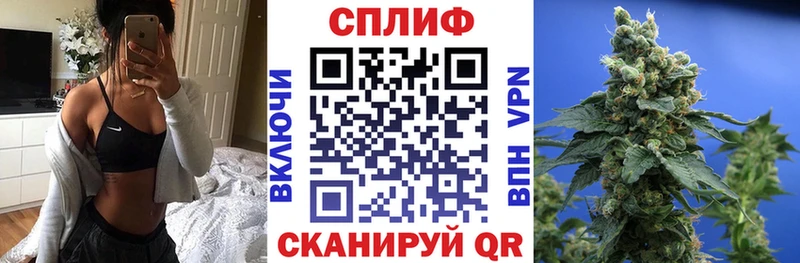 Купить закладки  Торопец  Бошки марихуана VHQ 